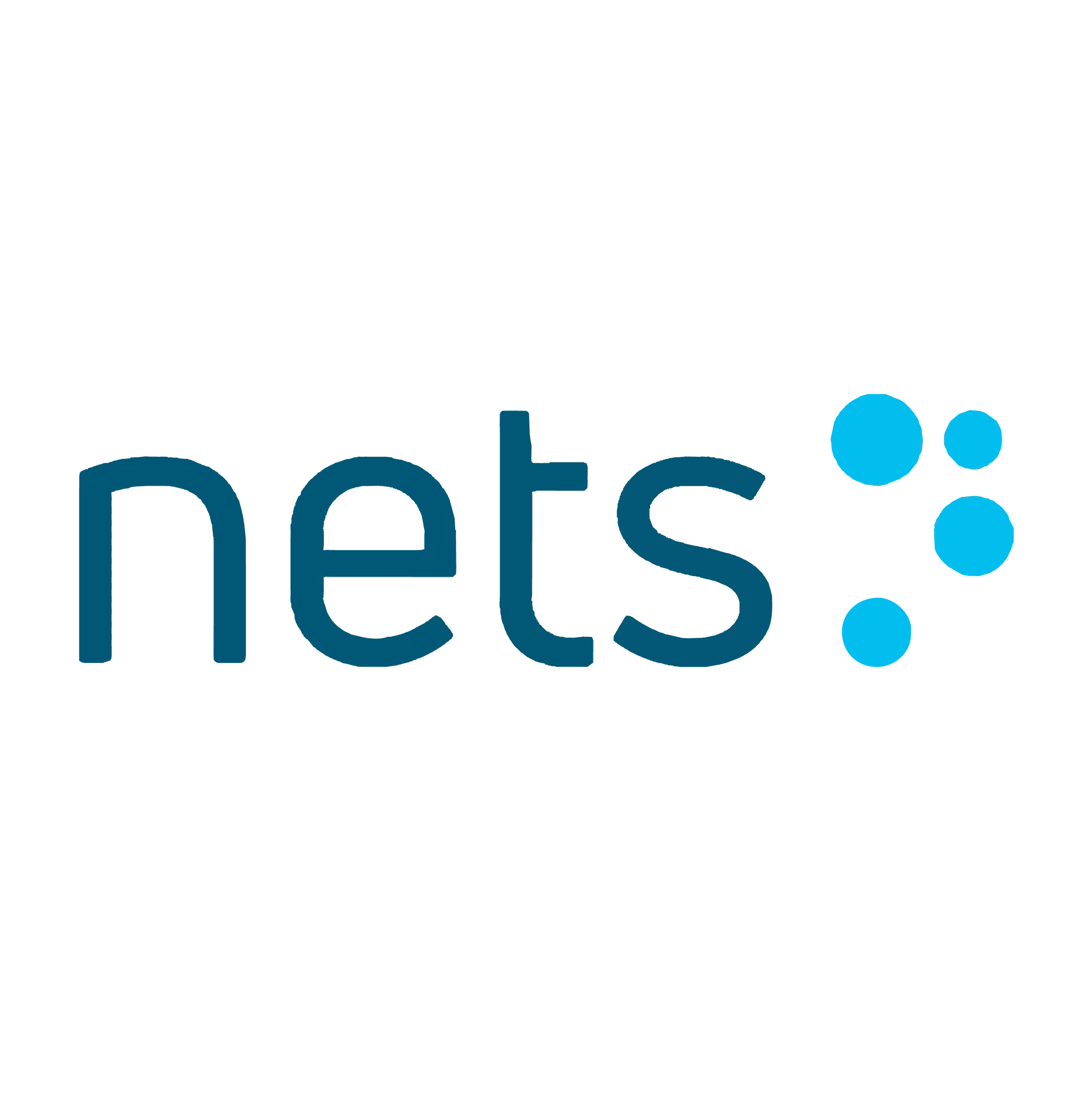 Nets_Logo-favoikon-01